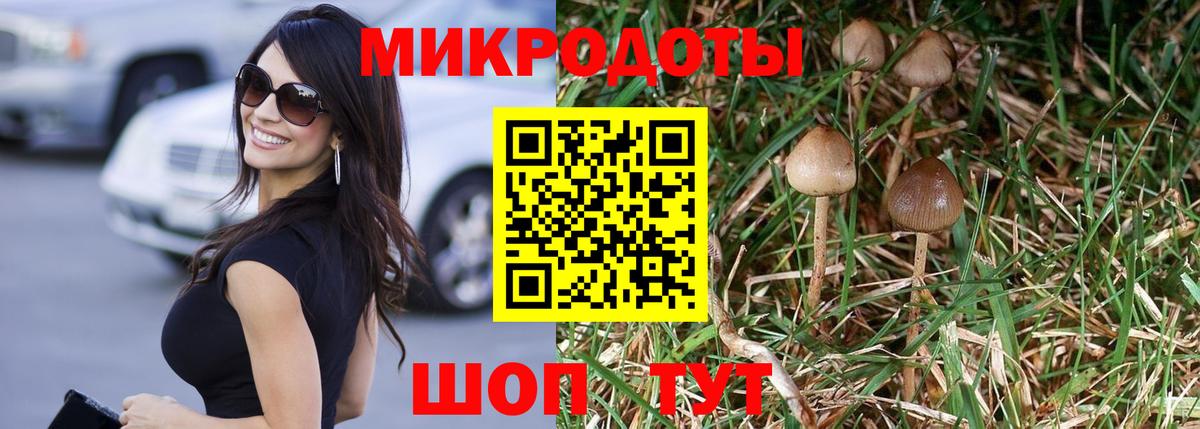 Псилоцибиновые грибы MAGIC MUSHROOMS  Вход с VPN  Урус-Мартан  Галлюциногенные грибы ЛСД 