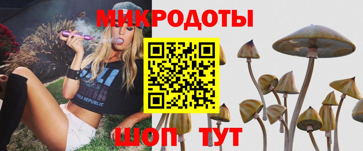 Галлюциногенные грибы Psilocybine cubensis Урус-Мартан